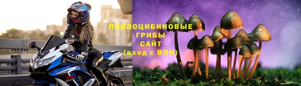 гидропоника Балабаново