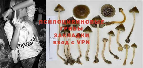 гидропоника Балабаново